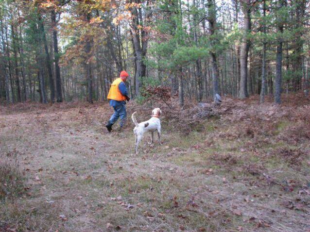 Sam with Jasper on point in Michigan